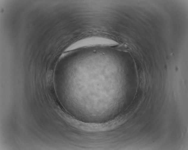 X0000083040034200702161717