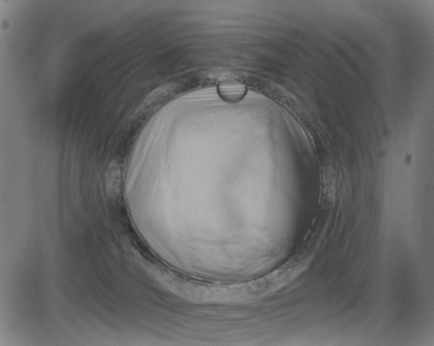 X0000083040036200702161717