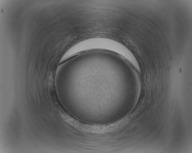 X0000083040037200702161717