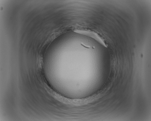 X0000083040038200702161717