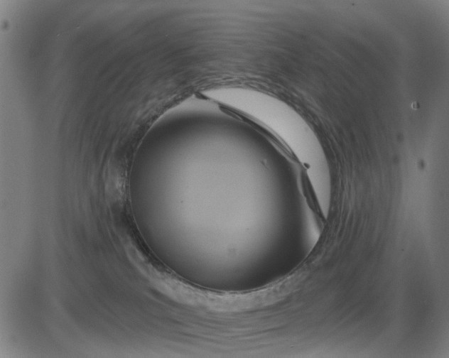 X0000083040039200702161717