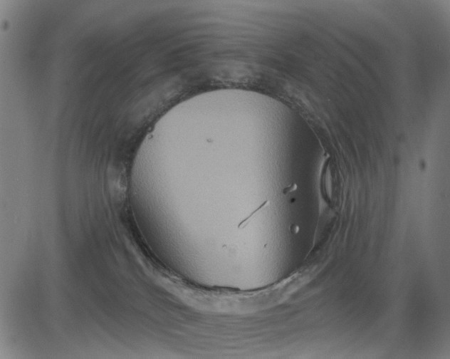 X0000083040040200702161717