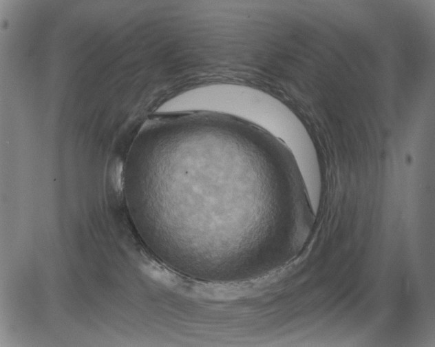 X0000083040041200702161717