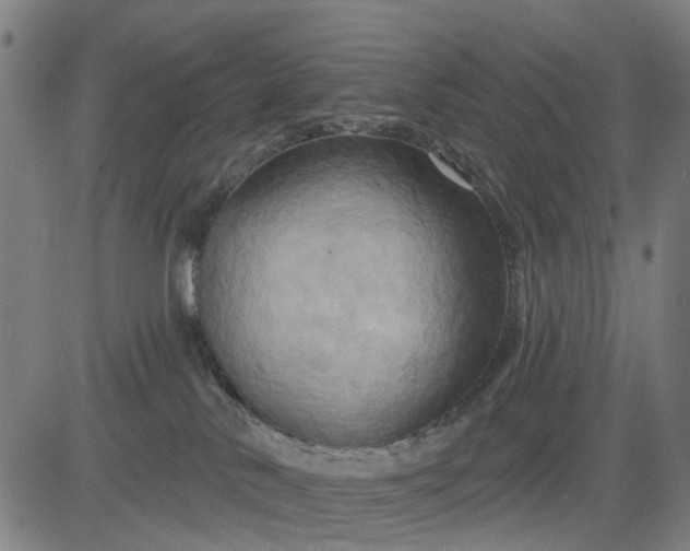 X0000083040042200702161717