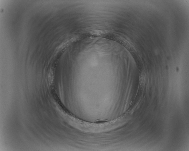 X0000083040043200702161717