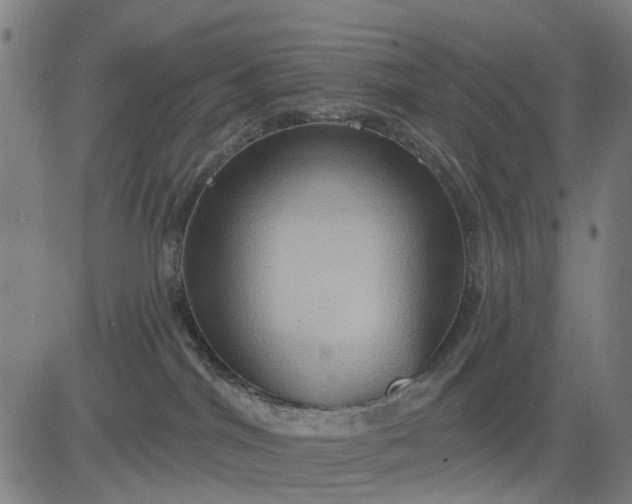 X0000083040044200702161717