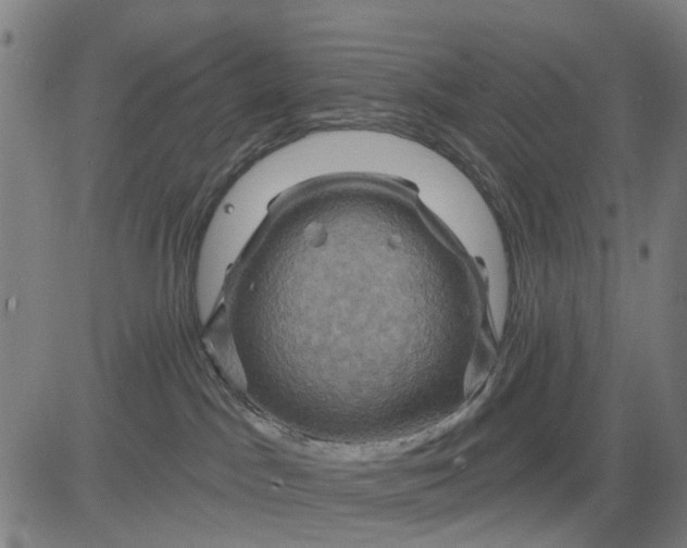 X0000083040045200702161717