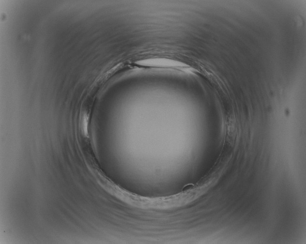 X0000083040046200702161717