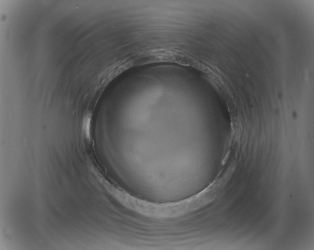 X0000083040047200702161717