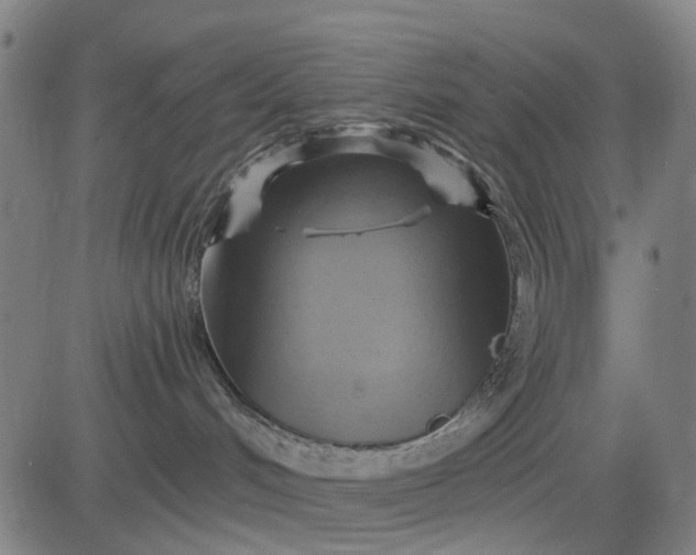 X0000083040048200702161717