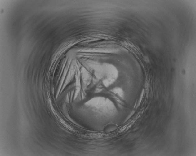 X0000083040049200702161716