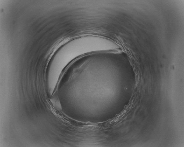 X0000083040050200702161716