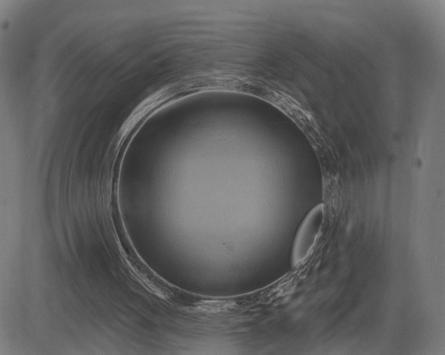 X0000083040051200702161716