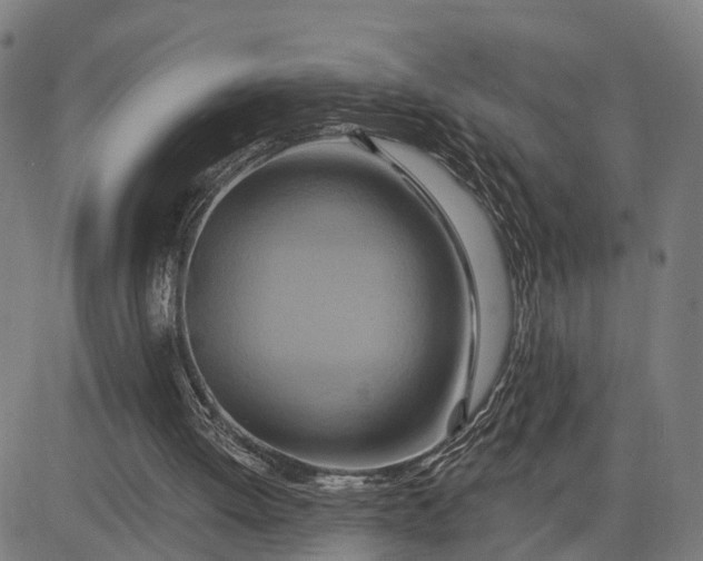 X0000083040052200702161716