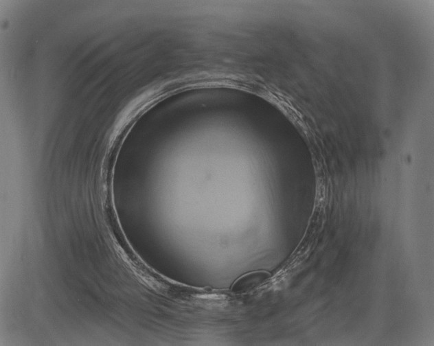 X0000083040053200702161716