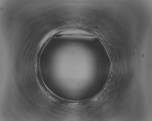 X0000083040054200702161716