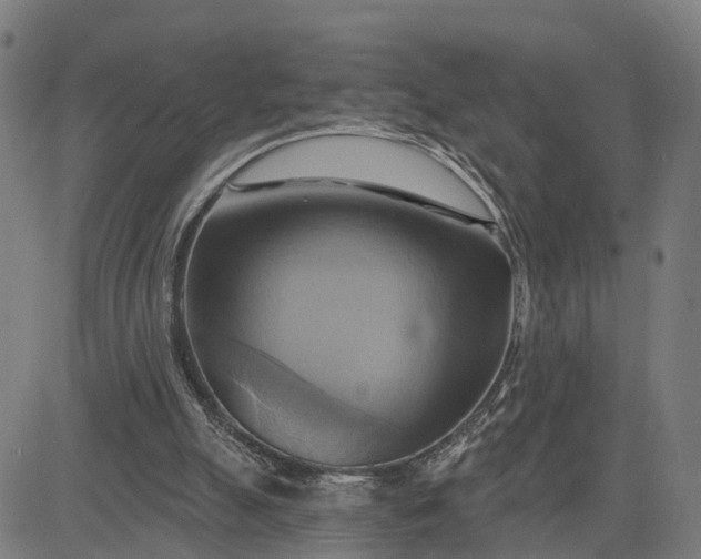 X0000083040055200702161717