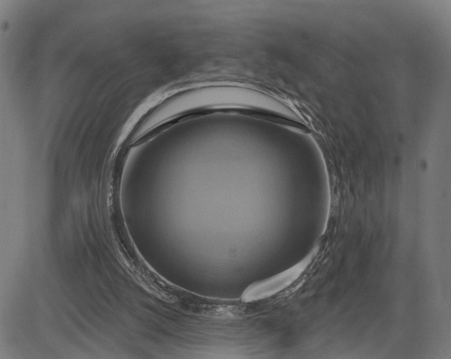 X0000083040056200702161717