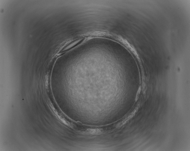 X0000083040057200702161717