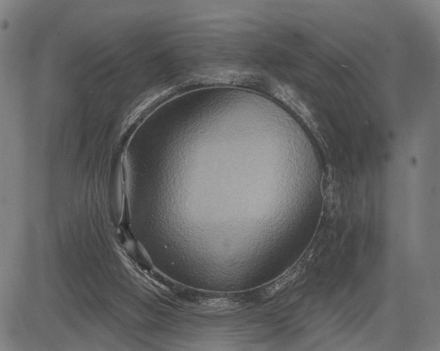 X0000083040058200702161717