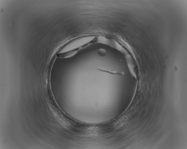 X0000083040059200702161717