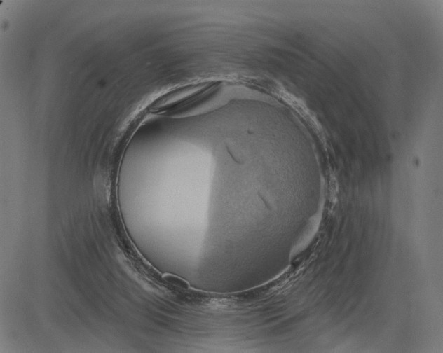 X0000083040060200702161717