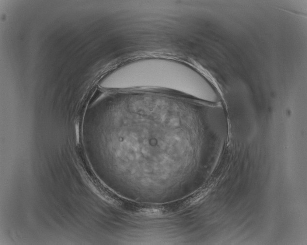 X0000083040061200702161717