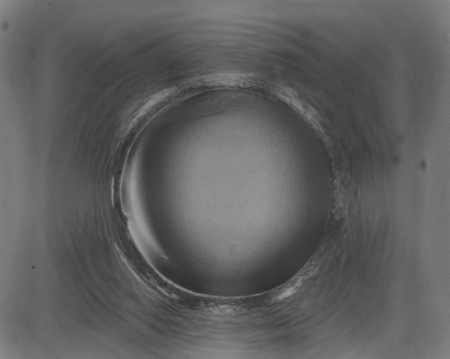 X0000083040062200702161717