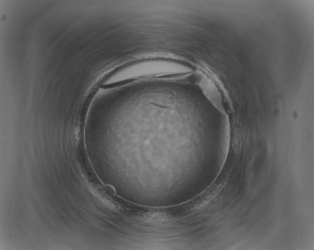 X0000083040063200702161717