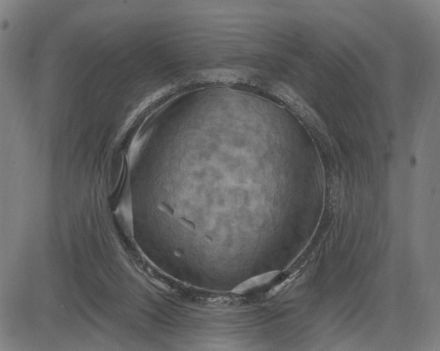 X0000083040064200702161717