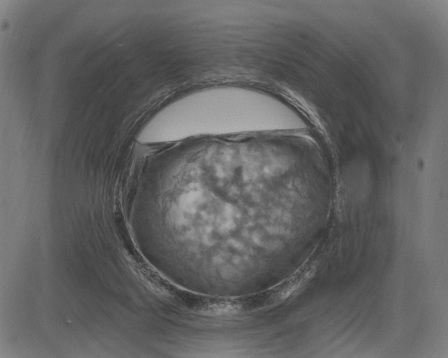 X0000083040065200702161717