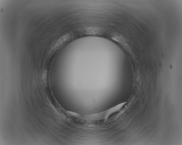 X0000083040066200702161717