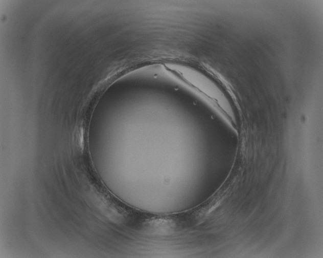 X0000083040067200702161717