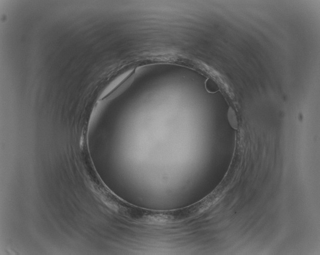 X0000083040069200702161717