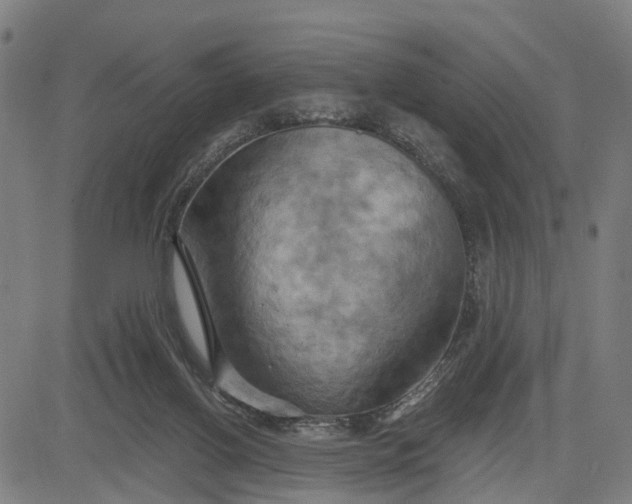 X0000083040070200702161717