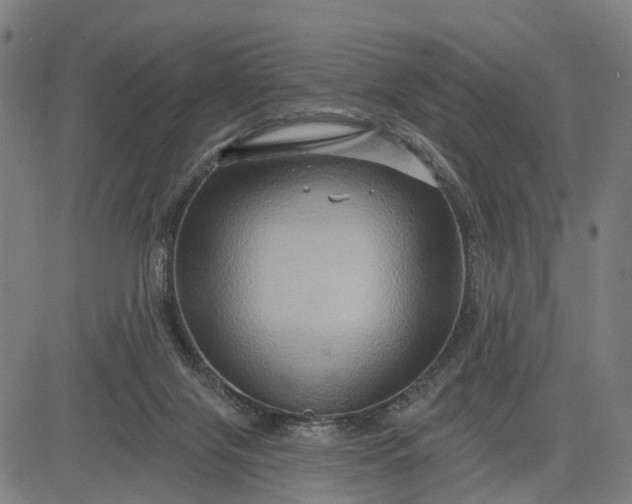 X0000083040071200702161717