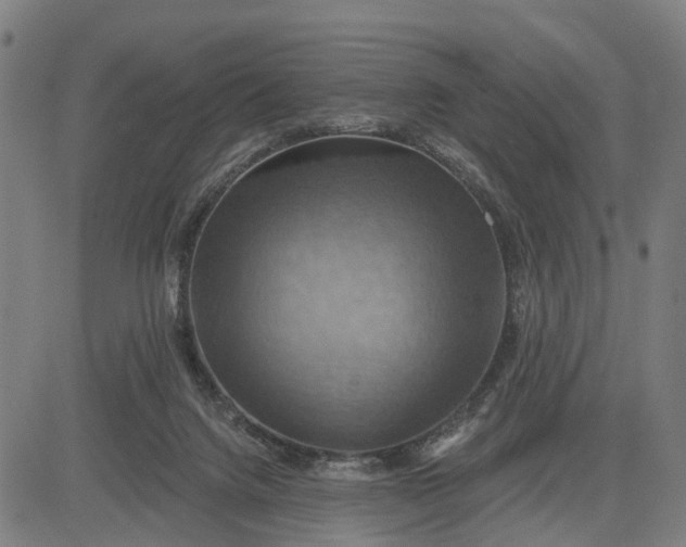 X0000083040072200702161717