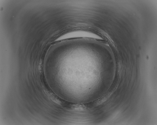 X0000083040073200702161717