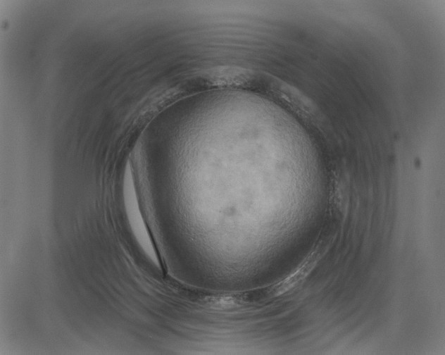 X0000083040074200702161717