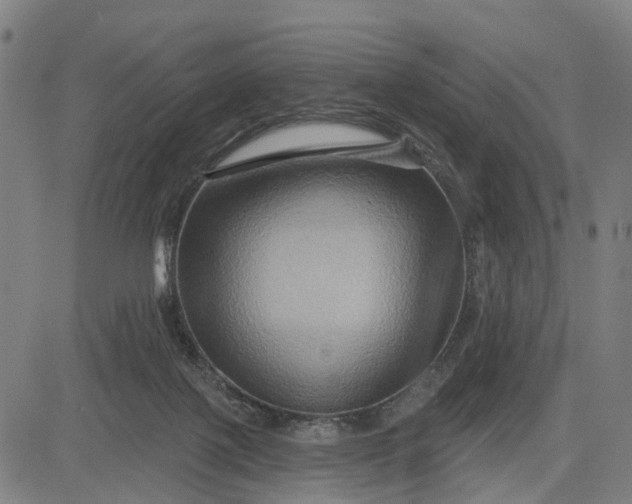 X0000083040075200702161717