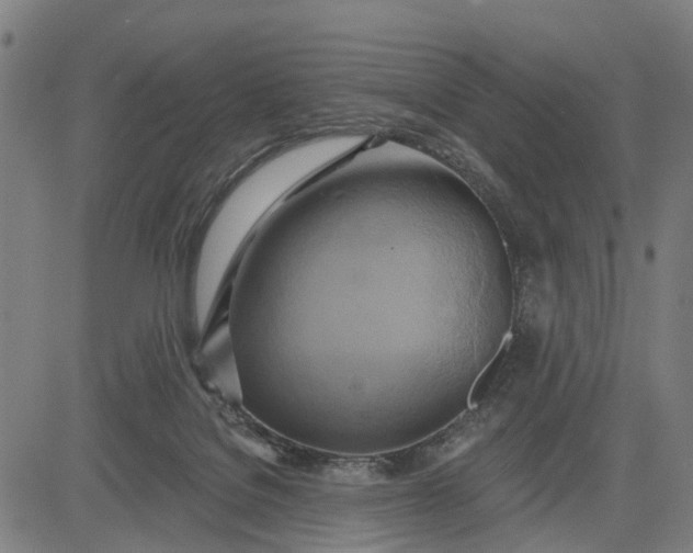 X0000083040076200702161717