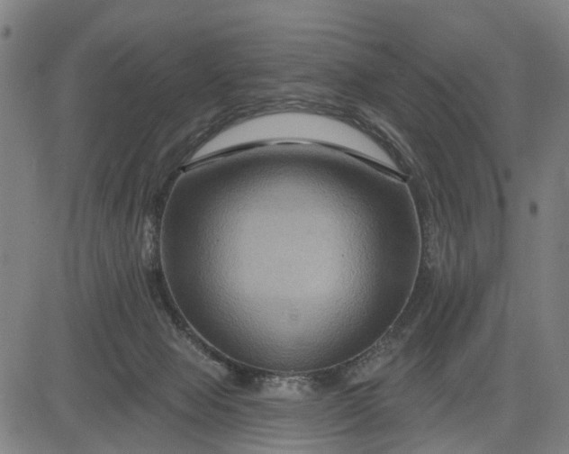 X0000083040077200702161717