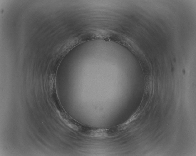 X0000083040078200702161717