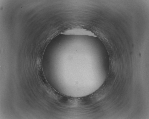 X0000083040079200702161717