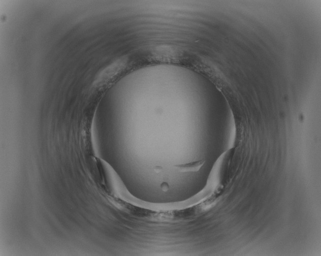 X0000083040080200702161717