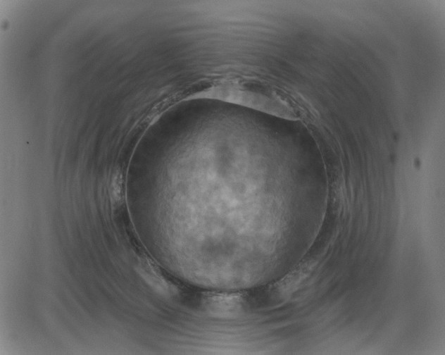 X0000083040081200702161717