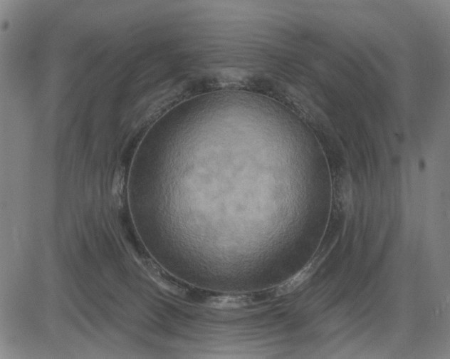 X0000083040082200702161717