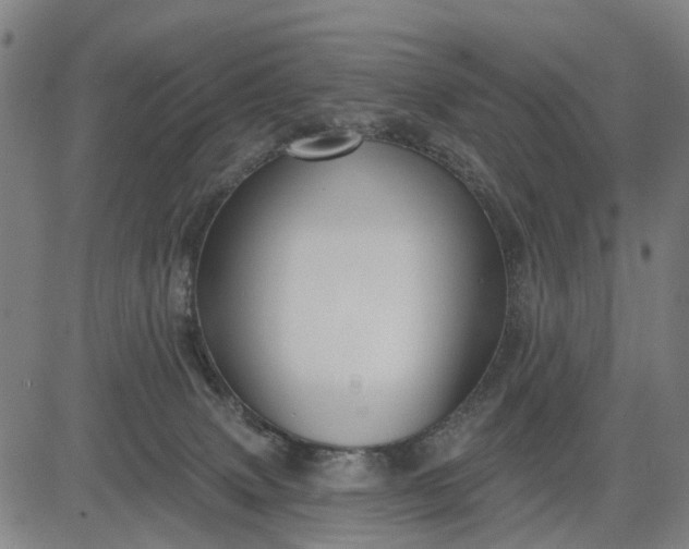 X0000083040083200702161717