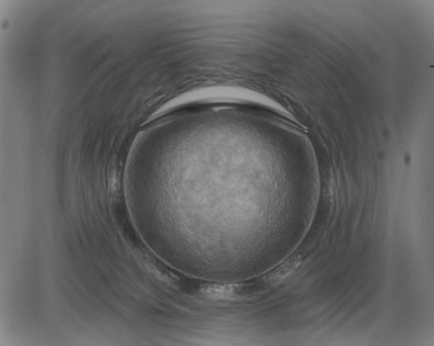 X0000083040084200702161717