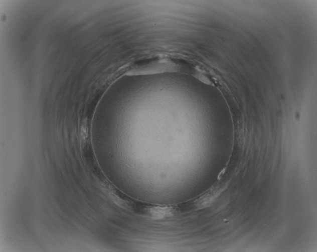 X0000083040085200702161717